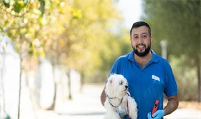 İzmir'de el konulan 20 cins köpek Işıkkent Köpek Bakımevi'nde