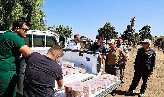 Büyükşehir Konyaaltı'nın “Çoban Haritasını" çıkarıyor Büyükşehir Konyaaltı'nın “Çoban Haritasını" çıkarıyor