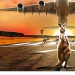 10 Bölümlük Seri 'Inside: Melbourne Havalimanı', 22 Eylül Pazartesi 22.00'de National Geographic Ekranlarında Başlıyor!