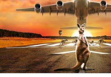 10 Bölümlük Seri 'Inside: Melbourne Havalimanı', 22 Eylül Pazartesi 22.00'de National Geographic Ekranlarında Başlıyor!