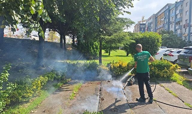 Vektörle mücadeleye güçlü destek