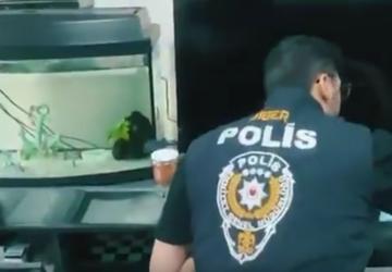 Siber suçlarla mücadele: 5 günde 55 kişi tutuklandı - Videolu Haber