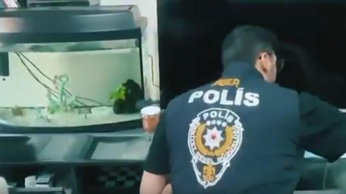 Muvazaalı gayrimenkul satışı yapan organize suç örgütü çökertildi - Videolu Haber Muvazaalı gayrimenkul satışı yapan organize suç örgütü çökertildi - Videolu Haber