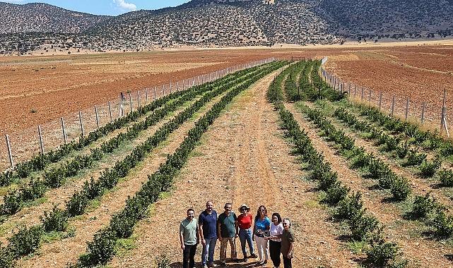 Büyükşehir'in hibeleri üreticinin yüzünü güldürdü