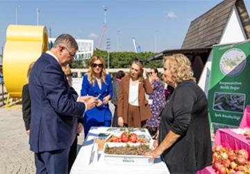 Menderes'te salep umudu