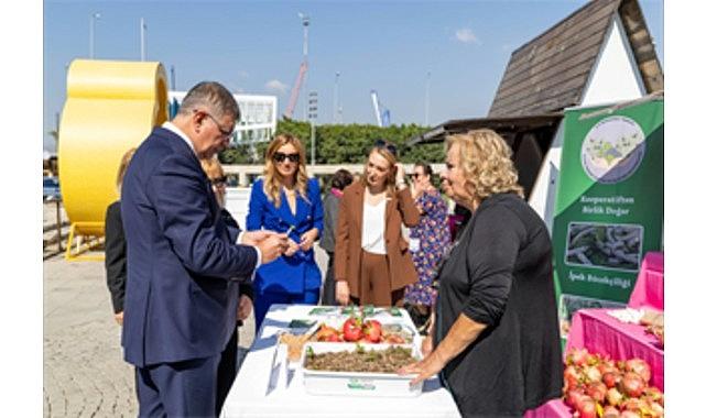 Menderes'te salep umudu