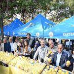 Kartepe'de Ayva Festivali Coşkusu Kartepe'de Ayva Festivali Coşkusu