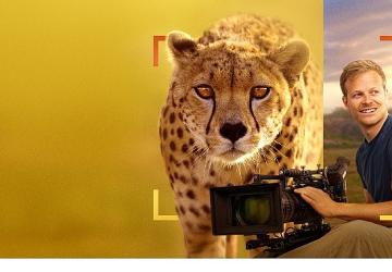 'Bertie Gregory Çitalarla Yüz Yüze', 3 Ocak Cumartesi 20.00'de National Geographic WILD Ekranlarında!