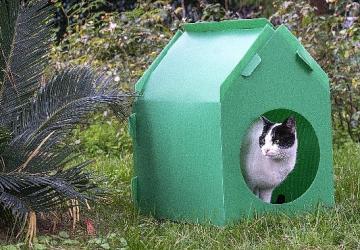 Başkan Tugay söz verdi, kediler sıcak yuvalarına kavuştu