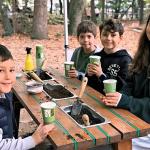 Büyükşehir'den "Yeşil Vatan" seferberliği