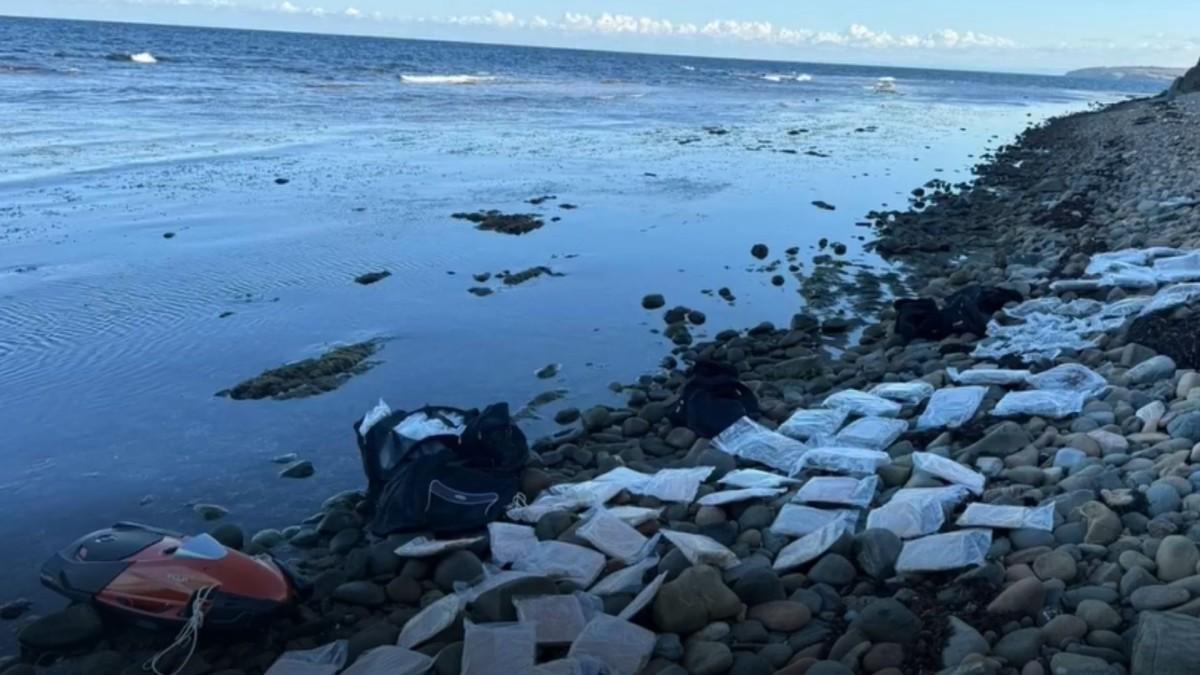 Bakan Ali Yerlikaya: ‘Karanlıkdere Sahili’nde, 114 kg uyuşturucu madde ele geçirildi’ - Videolu Haber Bakan Ali Yerlikaya: ‘Karanlıkdere Sahili’nde, 114 kg uyuşturucu madde ele geçirildi’ - Videolu Haber