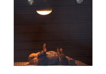 Büyükşehir Doğal Yaşam Parkı'nda kış tedbirleri