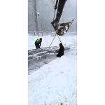 Kuzuyayla'da yürüyen bant, kar keyfine konfor katacak