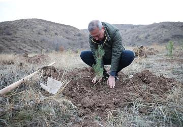 58 Bin Fidan Muhsin Yazıcıoğlu Vefa Ormanı'nda Toprakla Buluştu