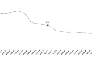 Hizmet Üretici Fiyat Endeksi, Kasım 2025