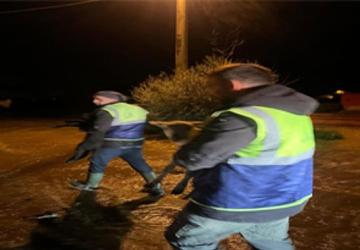 Canlar için Büyükşehir ekiplerinin özverili çabası