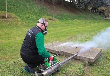 Sinekle mücadele sonbaharda da hız kesmiyor