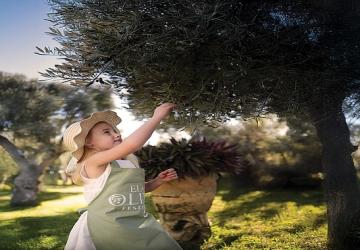 Ela Excellence Resort Belek'te Zeytin Ağaçlarının Gölgesinde Unutulmaz Bir Yolculuk