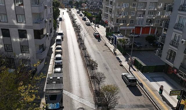 Buca'nın refüjleri yenileniyor