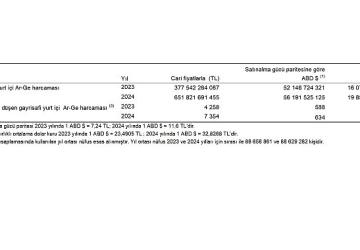 Araştırma-Geliştirme Faaliyetleri Araştırması, 2024