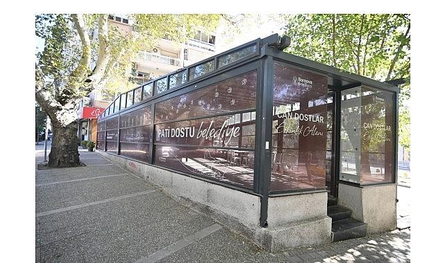 Eros Kedi Kliniği Bornova'da umut merkezi oldu