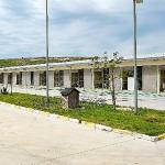 Can dostlar için Menemen'de rekor tedavi sayısına ulaşıldı