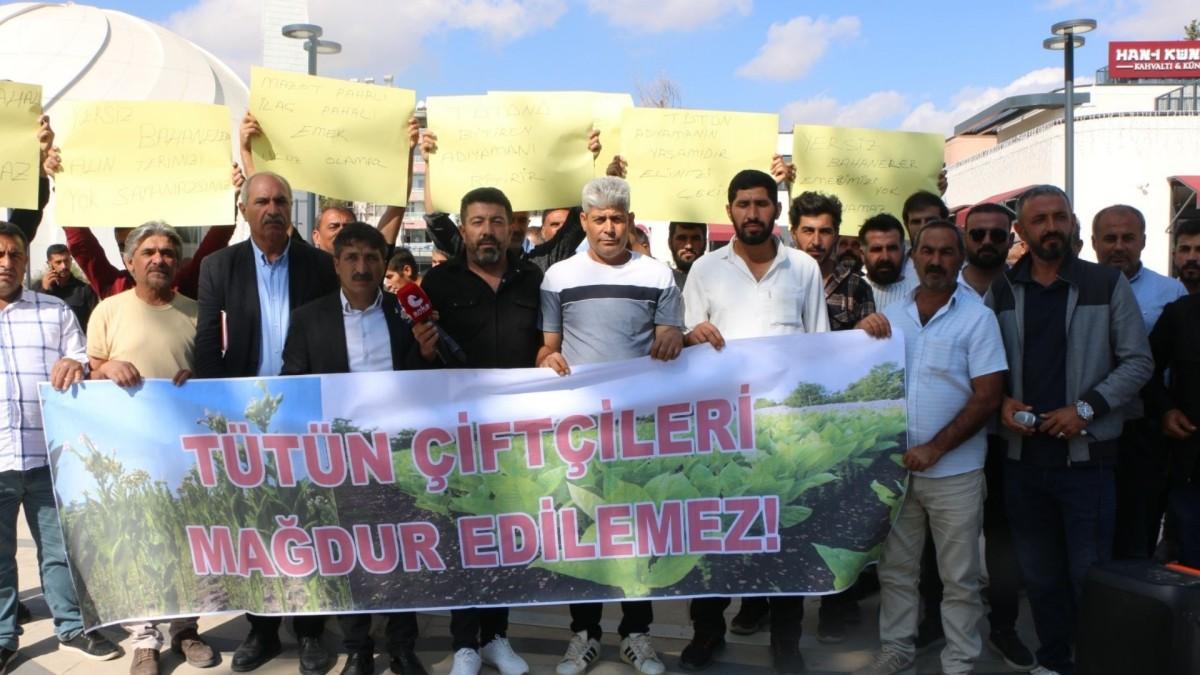 Adıyaman’da tütün üreticileri ‘sahipsiziz’ diyerek meydana indi - Videolu Haber Adıyaman’da tütün üreticileri ‘sahipsiziz’ diyerek meydana indi - Videolu Haber