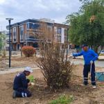 ‘Adıyaman Belediyesi’nden park ve yeşil alanlarda kışa hazırlık çalışmaları’