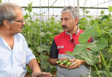 Adıyaman’da Sera-GES ile üretim devam ediyor - Videolu Haber