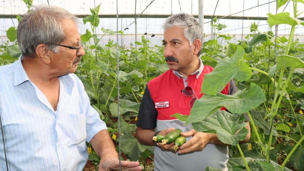 Adıyaman’da Sera-GES ile üretim devam ediyor - Videolu Haber Adıyaman’da Sera-GES ile üretim devam ediyor - Videolu Haber