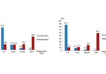 Girişim Özelliklerine Göre Dış Ticaret İstatistikleri, 2024