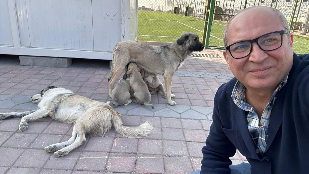 Adıyaman Nemrut Rotary Kulübü, ‘sokaktaki canlara’ umut oldu