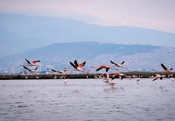 Doğa, kültür ve lezzet tutkunları yarıyıl tatilinde bu turlarda buluşacak