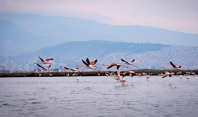 Doğa, kültür ve lezzet tutkunları yarıyıl tatilinde bu turlarda buluşacak