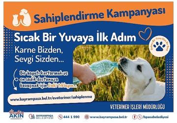 Bayrampaşa'da 'can dostlar' yuvalarını bekliyor