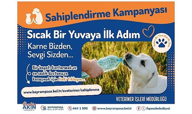 Bayrampaşa'da 'can dostlar' yuvalarını bekliyor