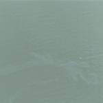 İzmir Körfezi'nde kirlilik alarmı: Aynı tehdit 11. kez görüldü