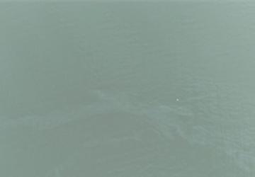 İzmir Körfezi'nde kirlilik alarmı: Aynı tehdit 11. kez görüldü