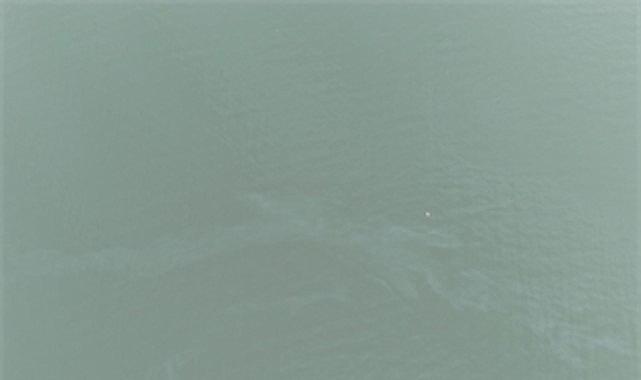 İzmir Körfezi'nde kirlilik alarmı: Aynı tehdit 11. kez görüldü