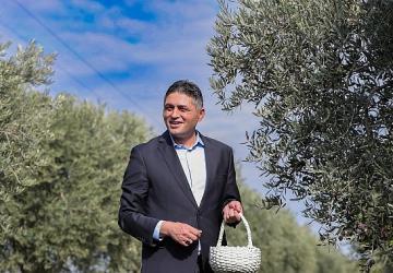 Aliağa'da Zeytinin Bereketi 4.Zeytin Hasat Şenliği'nde Kutlandı