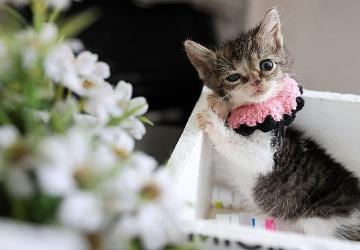 Buca Belediyesi 'Zero' için seferber oldu