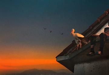 Yaralı Leylek Silyan'ın Hikayesini Anlatan 'Silyan Efsanesi', 11 Ocak Pazar 20.00'de National Geographic Ekranlarında!
