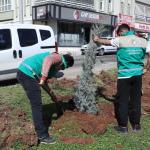 Haliliye’de yaz öncesi parklarda bakım çalışmaları devam ediyor