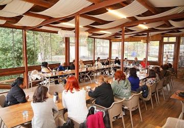 Ayvalık Belediye Başkanı Mesut Ergin: “Kentimizin geleceğini kadınlarla birlikte şekillendiriyoruz"