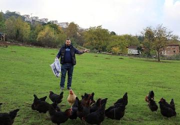 Kırsalda geçim kapısı güçleniyor, istihdam artıyor