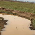 Adıyaman Çakırhüyük’te Keysun Çayı yeniden akmaya başladı