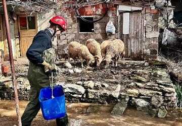 Büyükşehir ekipleri tüm canlılar için aynı özveriyle çalışıyor
