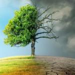 İklim Değişikliğinin Türkiye’de Göç ve Yerinde Kalma Üzerindeki Etkileri