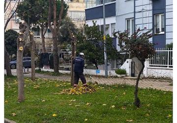 Didim Belediyesi Ekiplerinden İlçe Genelinde Yoğun Mesai