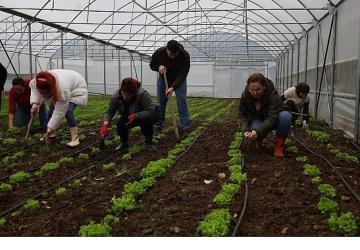 Kadın ve gençler, Büyükşehir'le tarıma kazandırılıyor